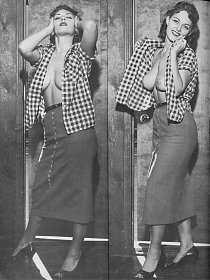 Retro Motions Free Picture Preview Gallery!